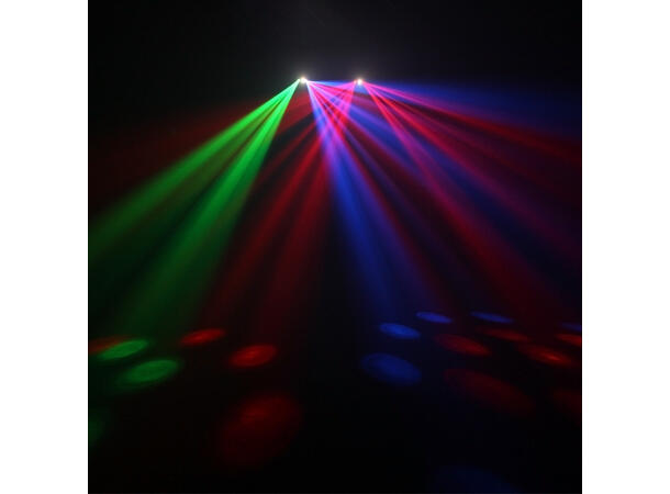 EQUINOX Boogie Lyseffekt Sort