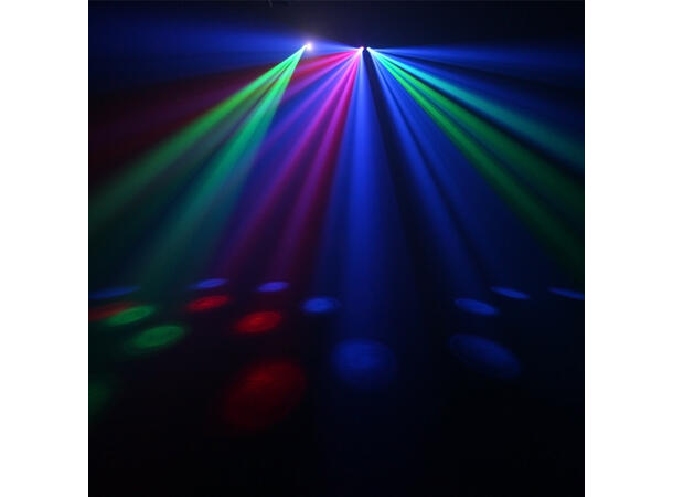 EQUINOX Boogie Lyseffekt Sort