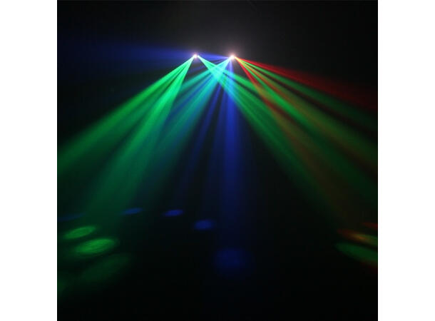 EQUINOX Boogie Lyseffekt Sort