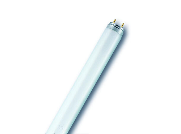 OSRAM 36W/880T8 LUMILUX 1200mm 8000K G13