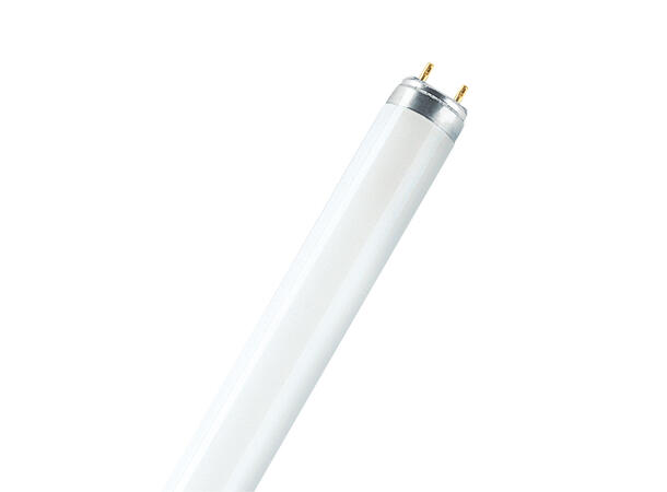OSRAM 58W/954 T8 LUMILUX DE LUXE G13. 1500mm 5400K